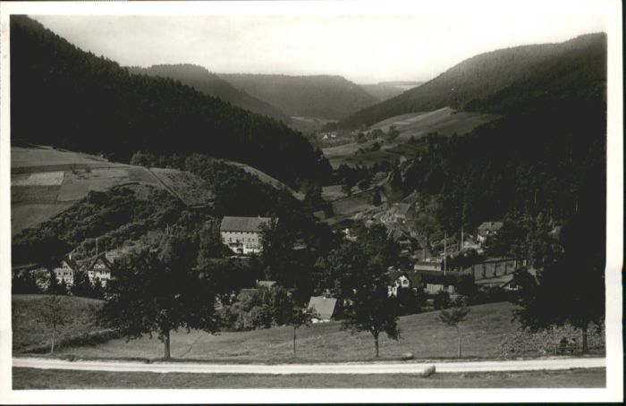 Alpirsbach Ehlenbogener Tal