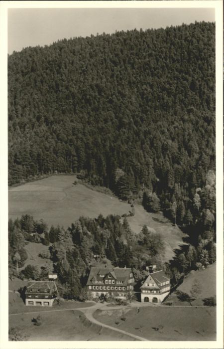 Reinerzau Kurhaus Fliegeraufnahme