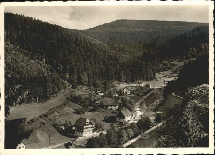 Schoenmuenzach emdenheim Elisabeth *