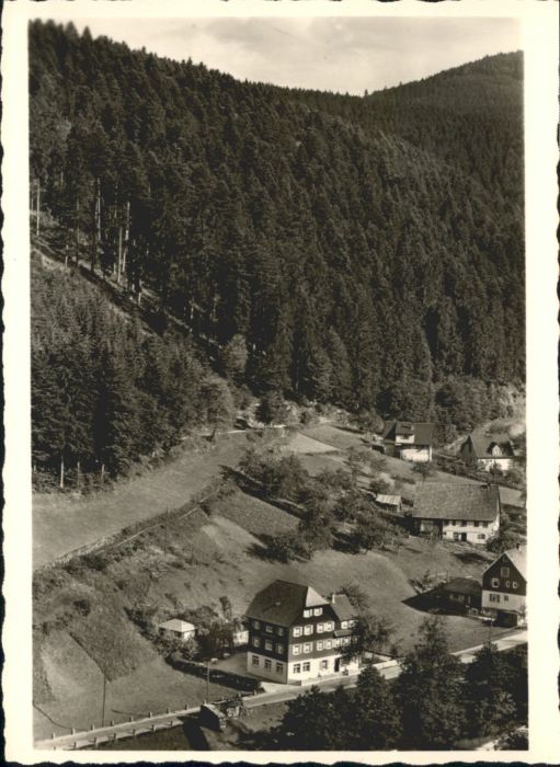 Schoenmuenzach emdenheim Elisabeth *