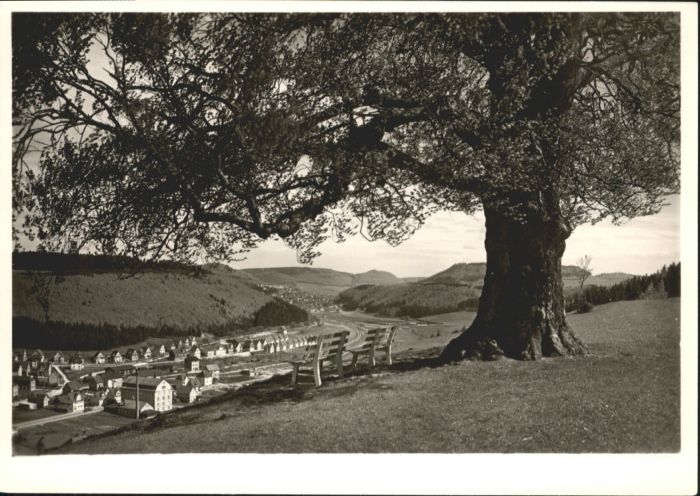 Onstmettingen Kapfbuche