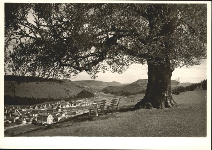 Onstmettingen Kapfbuche