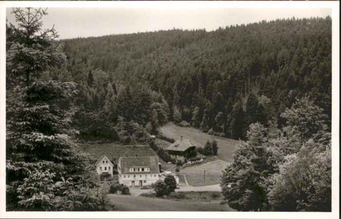 Bad Wildbad Gasthaus Pension Eyachmühle