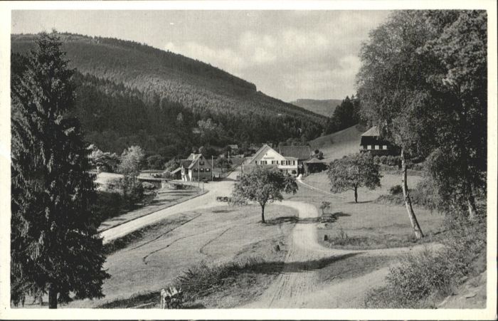 Bad Wildbad Gasthaus Pension Eyachmühle