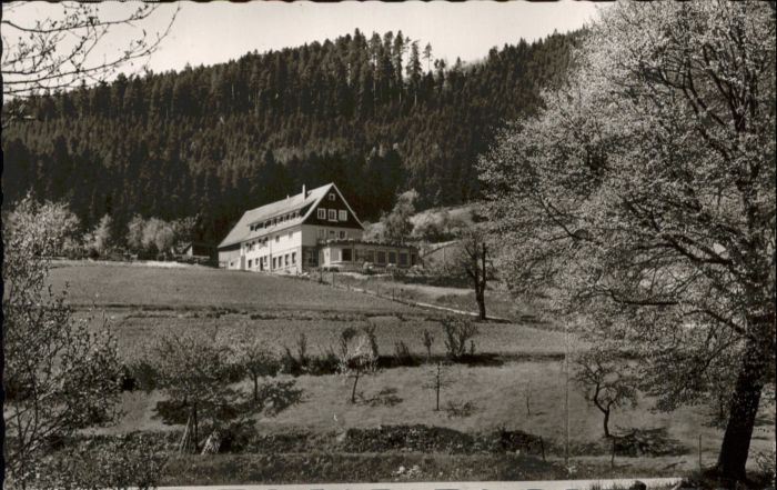 Enzkloesterle Gasthof Pension Berghof