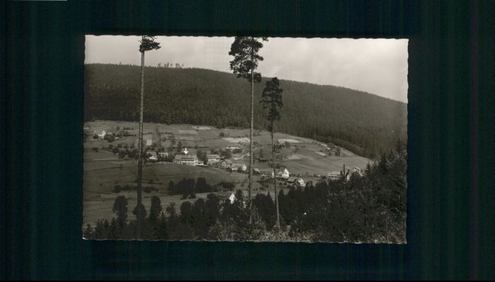 Enzkloesterle Gasthof Pension Berghof