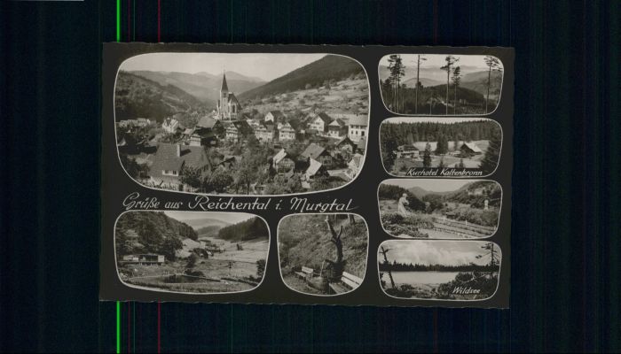 Reichental Hotel Kaltenbronn Wildsee