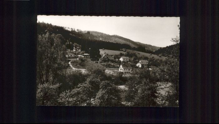 Gernsbach Pension Cafe Waidmanns Heil