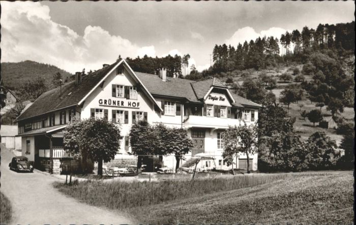 Hilpertsau Gaststätte Pension Grüner hof *