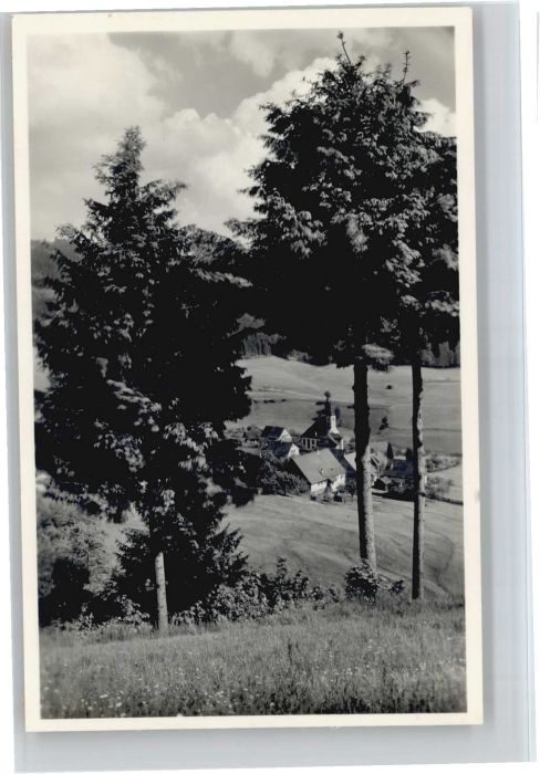 Schwarzenberg Baiersbronn Schwarzwaldhaus Sonnenwinkel