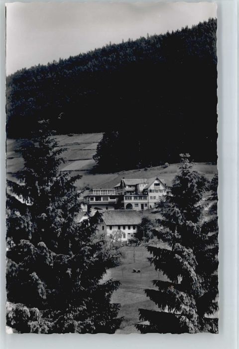 Tonbach Hotel Traube-Tonbach