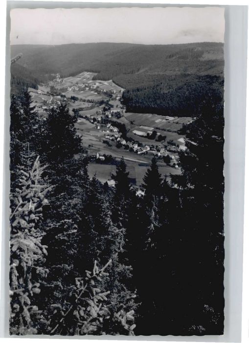 Tonbach Pension zum Pflug