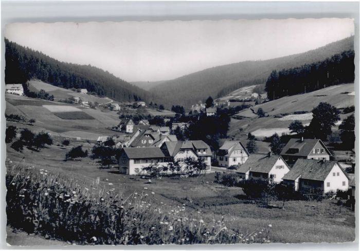 Tonbach Pension zum Pflug