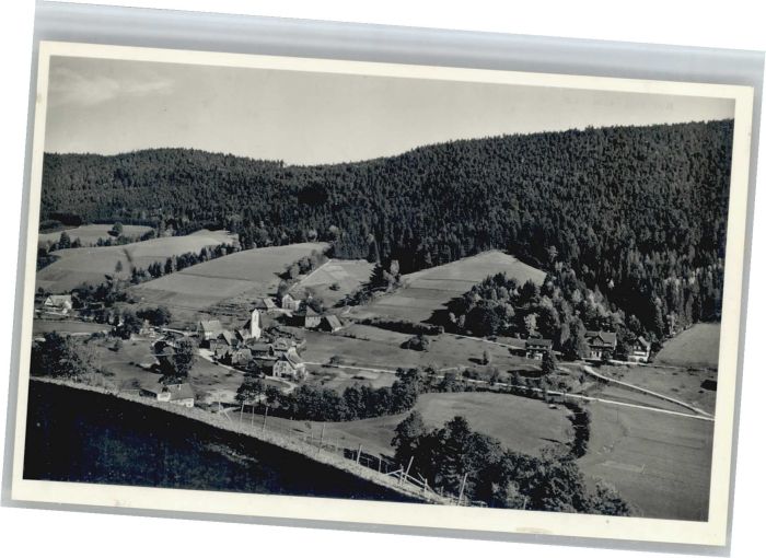 Alpirsbach Kurhaus Reinerzau