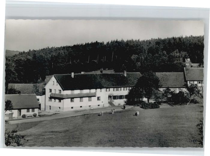 Rotensol Pension Lamm