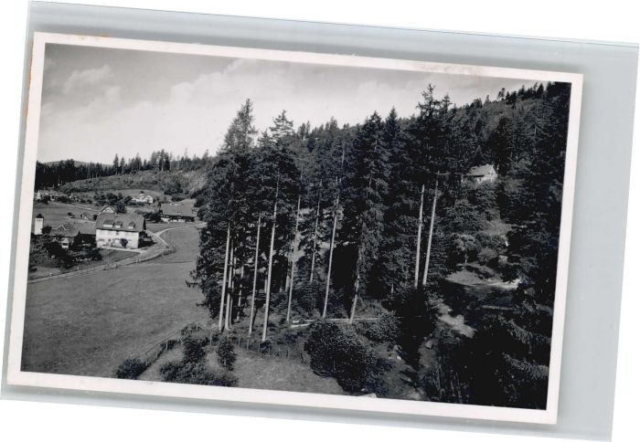 Erbersbronn Gasthaus zum grünen Wald