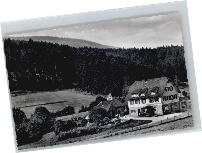 Erbersbronn Gasthaus zum grünen Wald