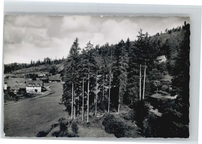 Erbersbronn Gasthaus zum grünen Wald