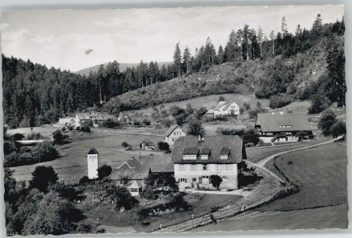 Erbersbronn Gasthaus zum grünen Wald