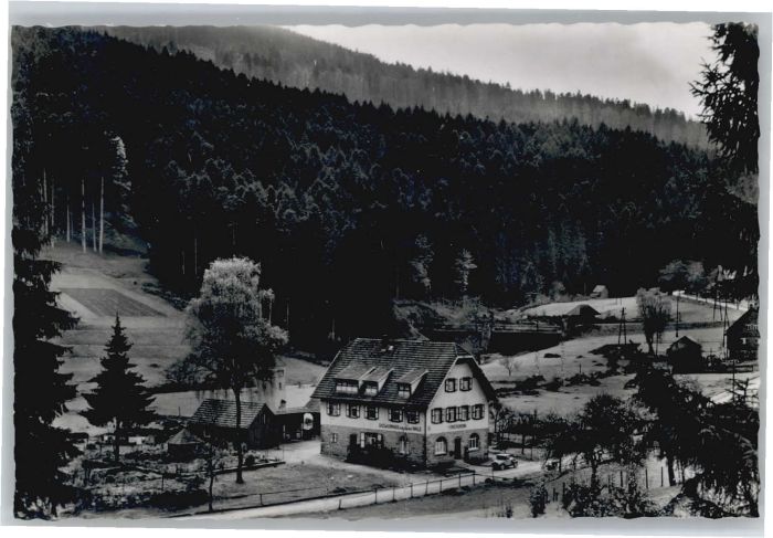 Erbersbronn Gasthaus zum grünen Wald
