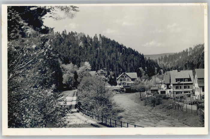 Schoenmuenzach sthof zum Schiff *