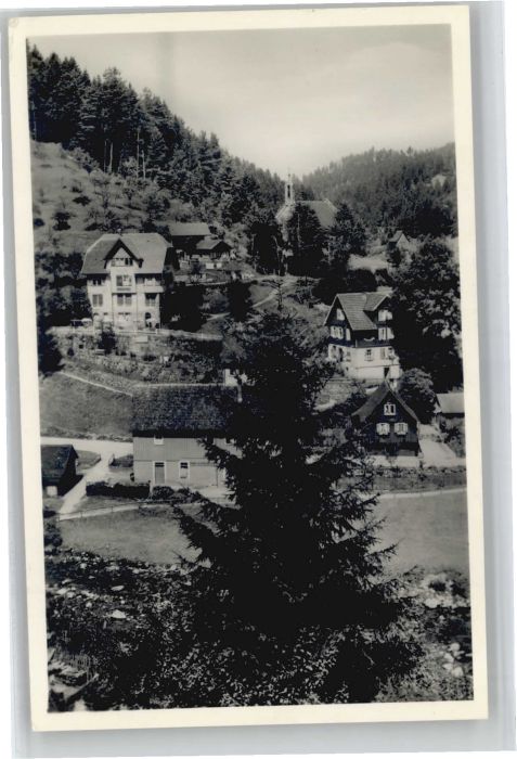 Schoenmuenzach Pension Sommerberg *