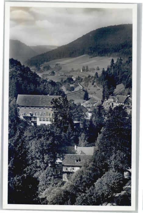 Alpirsbach Kurhaus Heilenberg