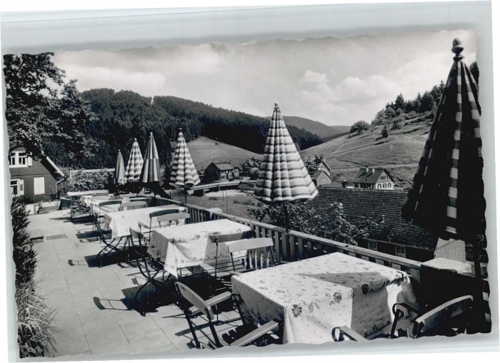 Schoenmuenzach stehaus Sommerberg *