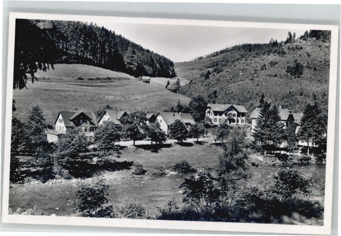 Schoenmuenzach Pension Carola *