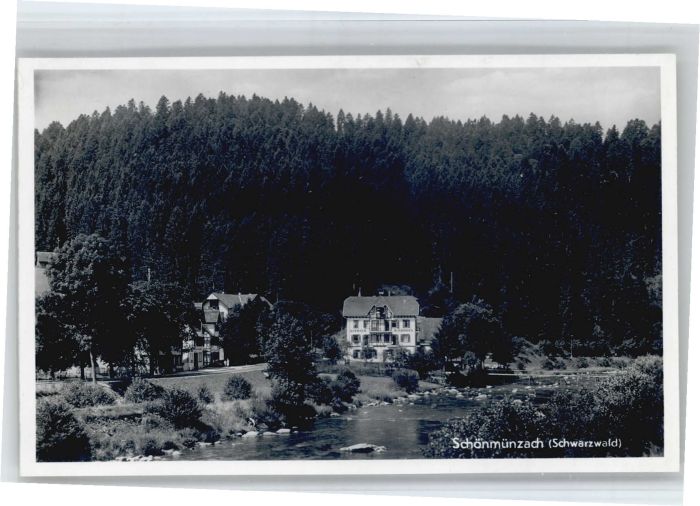 Schoenmuenzach rhaus Waldhorn *