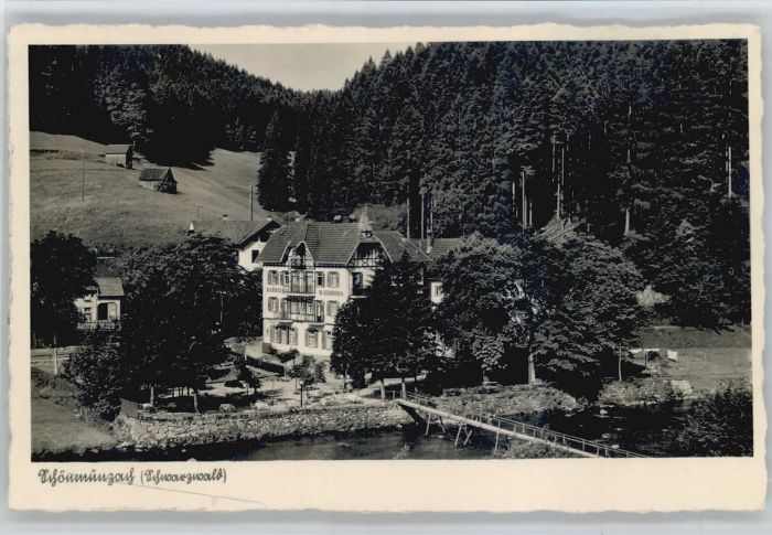 Schoenmuenzach rhaus Waldhorn *