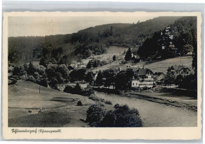 Schoenmuenzach rhaus Waldhorn *