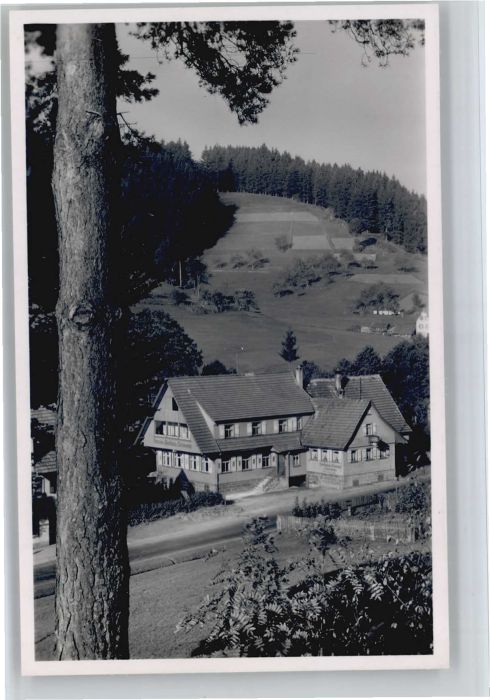 Obertal Baiersbronn Obertal Freudenstadt Pension zum Schwan