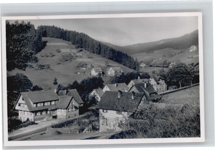 Obertal Baiersbronn Obertal Freudenstadt Pension zum Schwan