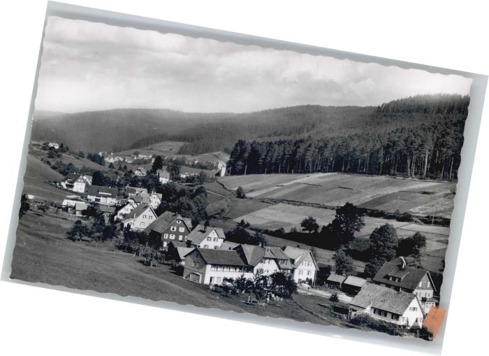 Tonbach Pension zum Pflug