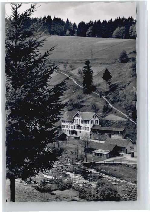 Schoenmuenzach sthaus Steinbock *