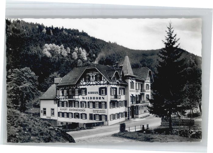 Schoenmuenzach rhaus Waldhorn *