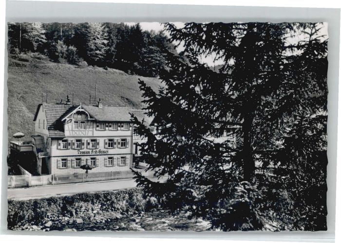 Schoenmuenzach emdenheim Haus Gaiser *