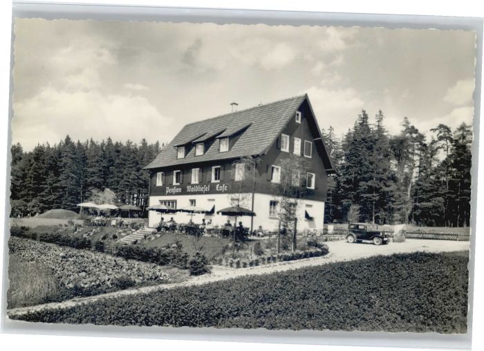 Hallwangen Dornstetten Freudenstadt BW Pension Waldliesel