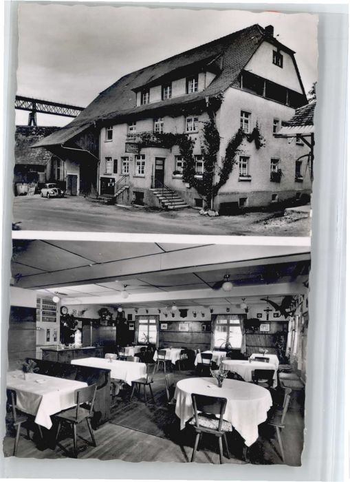 Epfenhofen Zollhunde Schule