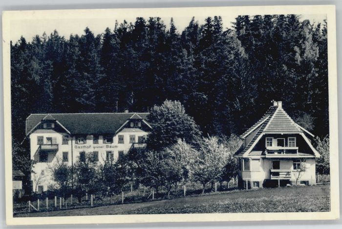 Hallwangen Dornstetten Freudenstadt BW Pension gruener Baum