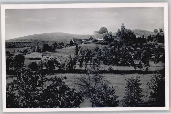 Sasbachwalden Achern Ortenaukreis BW Schelzberg