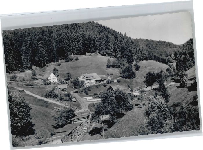 Schorrental Besenfeld Gasthof Pension Forelle