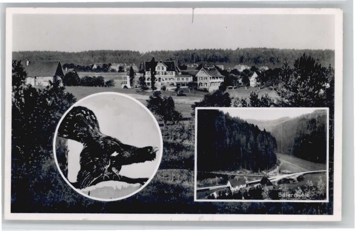 Heselbronn Altensteig CALW BW Baiermuehle