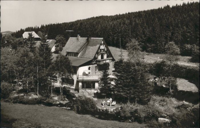 Schoenwald Schwarzwald Schönwald Gasthaus Inselklause