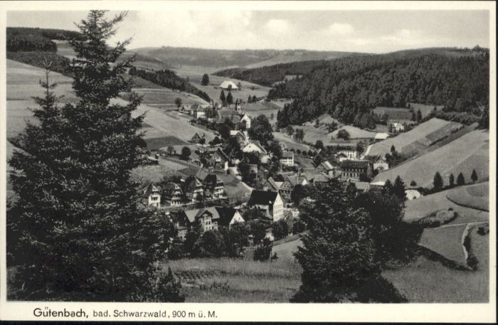 Guetenbach Schwarzwald Furtwangen BW