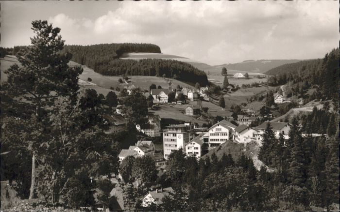 Guetenbach  Schwarzwald Furtwangen BW