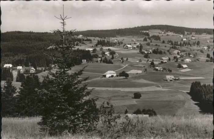 Falkau Ferienheim Cafe Haus Gertrud