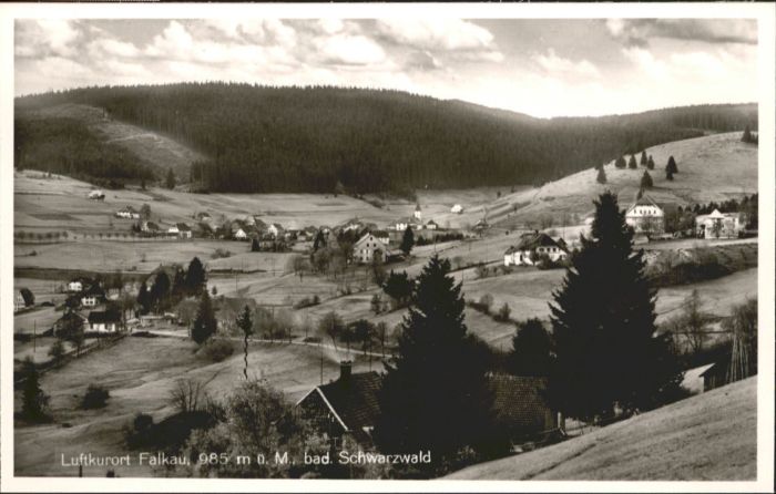 Falkau