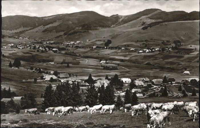 Bernau Schwarzwald Bernau